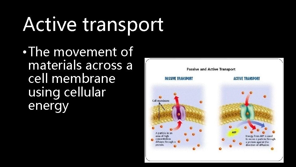 Active transport • The movement of materials across a cell membrane using cellular energy