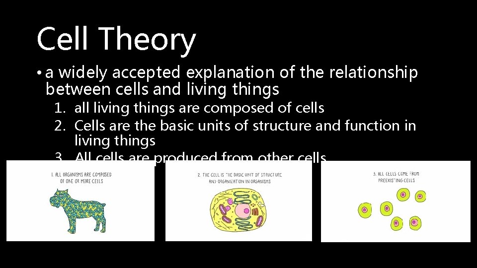 Cell Theory • a widely accepted explanation of the relationship between cells and living
