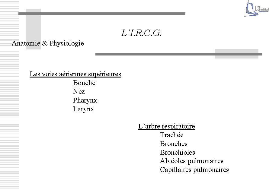 L’I. R. C. G. Anatomie & Physiologie Les voies aériennes supérieures Bouche Nez Pharynx