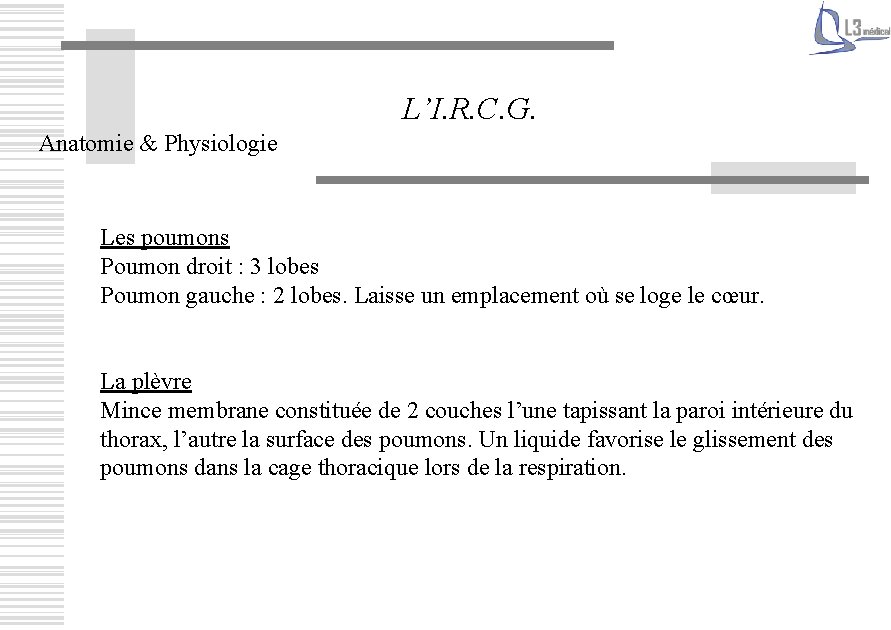 L’I. R. C. G. Anatomie & Physiologie Les poumons Poumon droit : 3 lobes