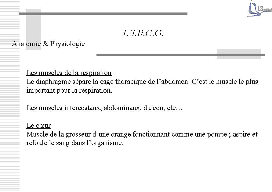 L’I. R. C. G. Anatomie & Physiologie Les muscles de la respiration Le diaphragme