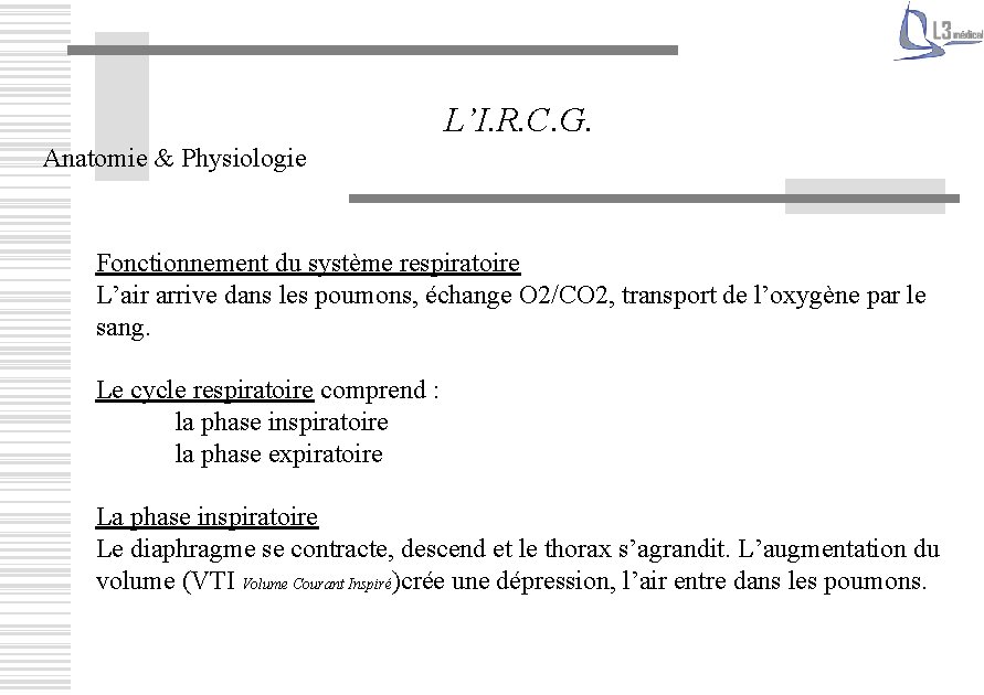 L’I. R. C. G. Anatomie & Physiologie Fonctionnement du système respiratoire L’air arrive dans