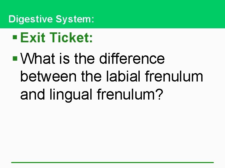 Digestive System: § Exit Ticket: § What is the difference between the labial frenulum