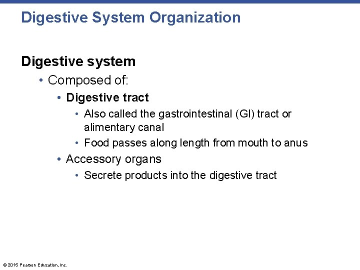Digestive System Organization Digestive system • Composed of: • Digestive tract • Also called