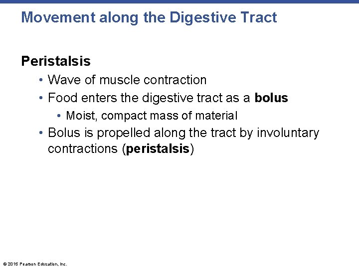 Movement along the Digestive Tract Peristalsis • Wave of muscle contraction • Food enters