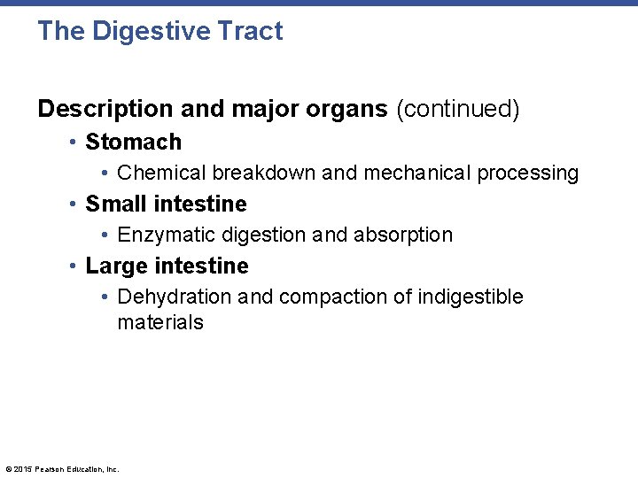 The Digestive Tract Description and major organs (continued) • Stomach • Chemical breakdown and