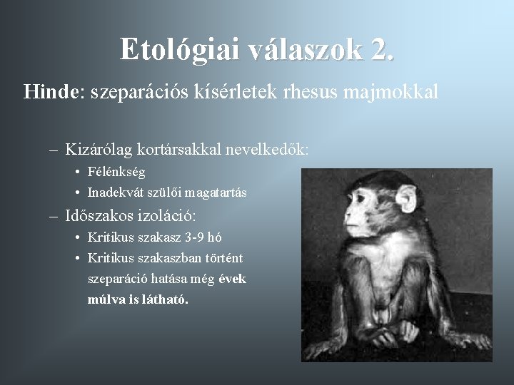 Etológiai válaszok 2. Hinde: szeparációs kísérletek rhesus majmokkal – Kizárólag kortársakkal nevelkedők: • Félénkség
