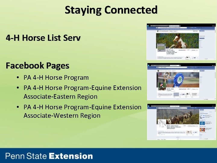 Staying Connected 4 -H Horse List Serv Facebook Pages • PA 4 -H Horse