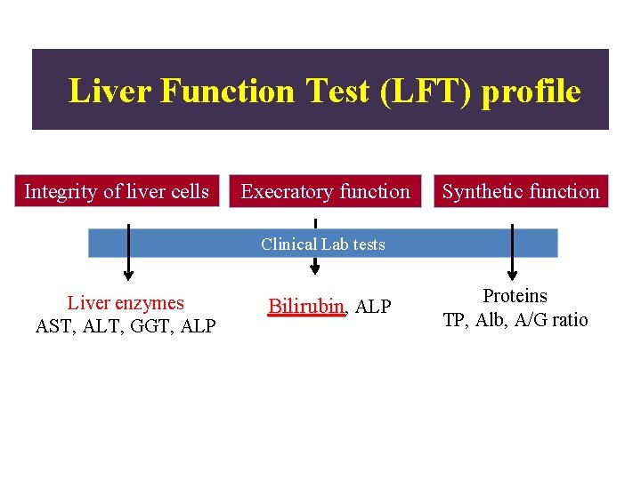 Liver Function Test (LFT) profile Integrity of liver cells Execratory function Synthetic function Clinical