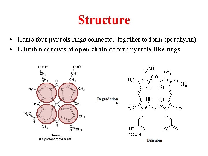 Structure • Heme four pyrrols rings connected together to form (porphyrin). • Bilirubin consists
