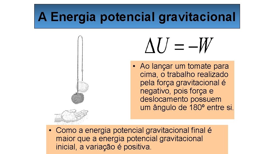 A Energia potencial gravitacional • Ao lançar um tomate para cima, o trabalho realizado