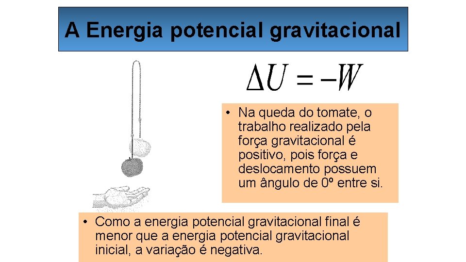 A Energia potencial gravitacional • Na queda do tomate, o trabalho realizado pela força