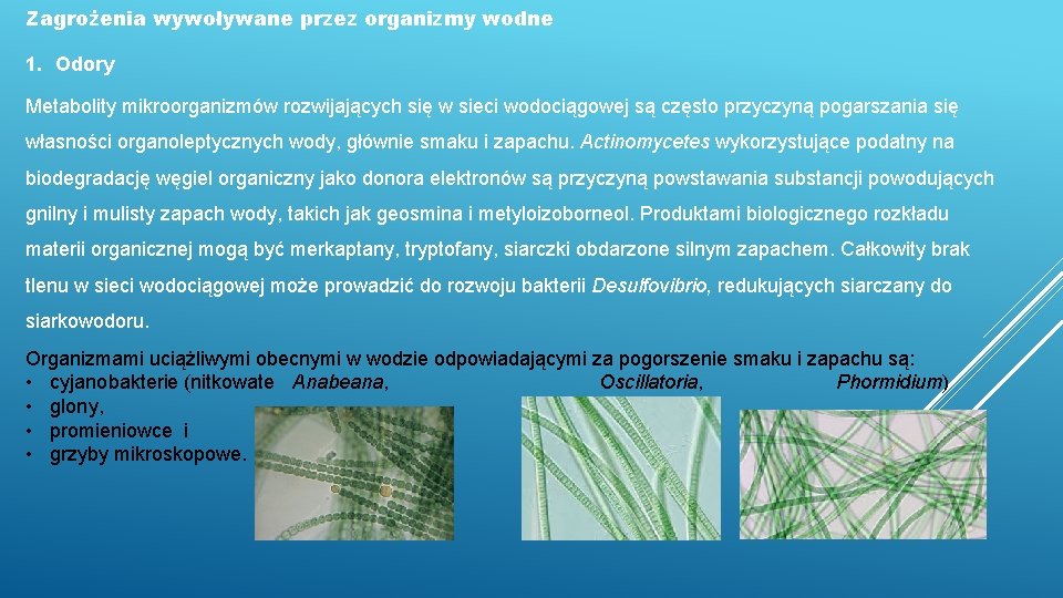 Zagrożenia wywoływane przez organizmy wodne 1. Odory Metabolity mikroorganizmów rozwijających się w sieci wodociągowej