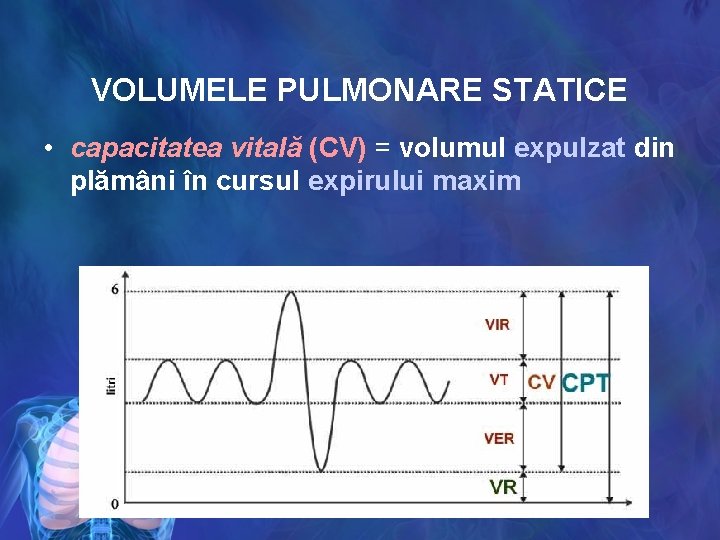 VOLUMELE PULMONARE STATICE • capacitatea vitală (CV) = volumul expulzat din plămâni în cursul