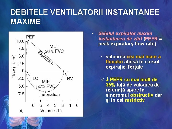 DEBITELE VENTILATORII INSTANTANEE MAXIME • debitul expirator maxim instantaneu de vârf (PEFR = peak