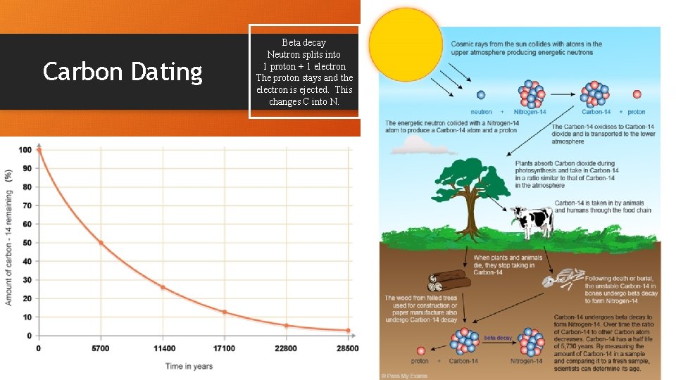 Carbon Dating Beta decay Neutron splits into 1 proton + 1 electron The proton