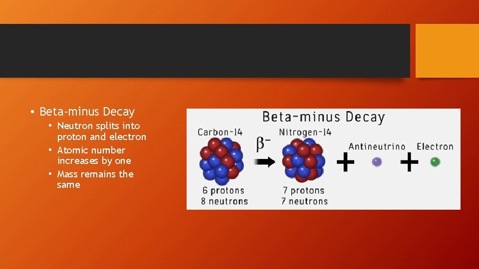  • Beta-minus Decay • Neutron splits into proton and electron • Atomic number