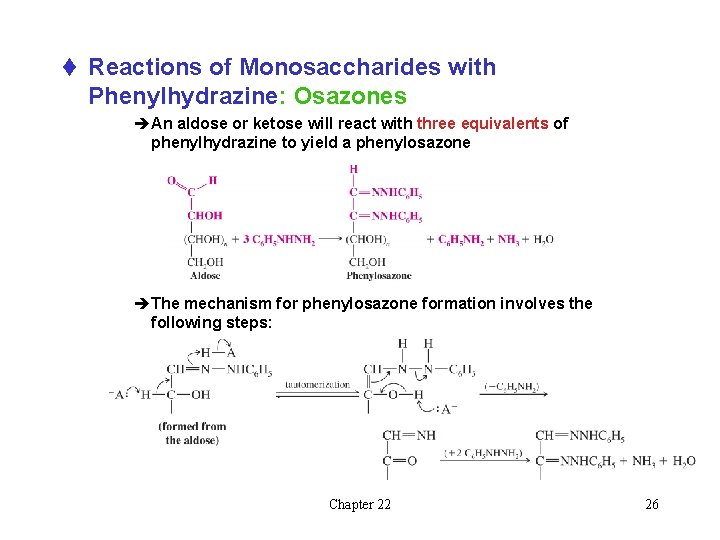 t Reactions of Monosaccharides with Phenylhydrazine: Osazones èAn aldose or ketose will react with t Reactions of Monosaccharides with Phenylhydrazine: Osazones èAn aldose or ketose will react with