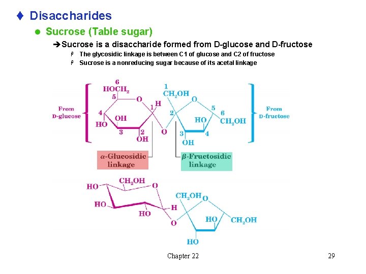 t Disaccharides l Sucrose (Table sugar) èSucrose is a disaccharide formed from D-glucose and