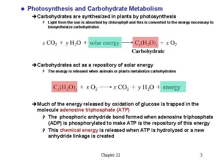 l Photosynthesis and Carbohydrate Metabolism èCarbohydrates are synthesized in plants by photosynthesis H Light