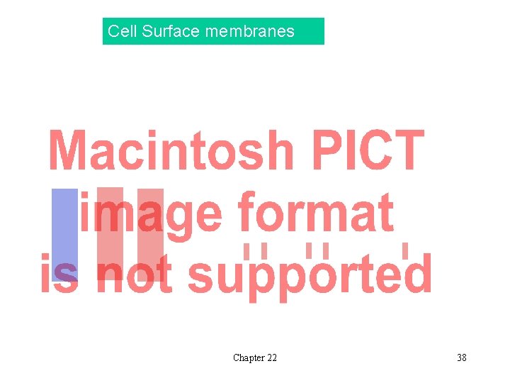 Cell Surface membranes Chapter 22 38 