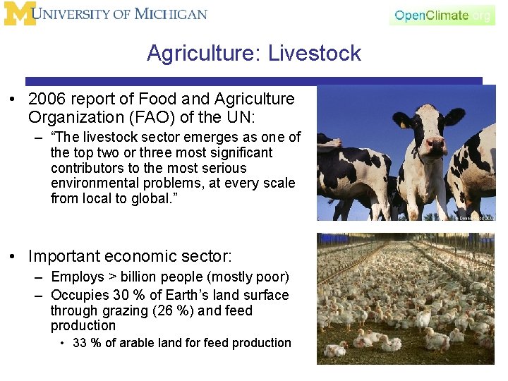 Agriculture: Livestock • 2006 report of Food and Agriculture Organization (FAO) of the UN: