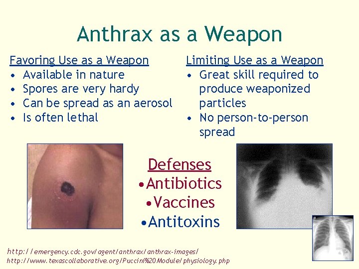 Anthrax as a Weapon Favoring Use as a Weapon • Available in nature •