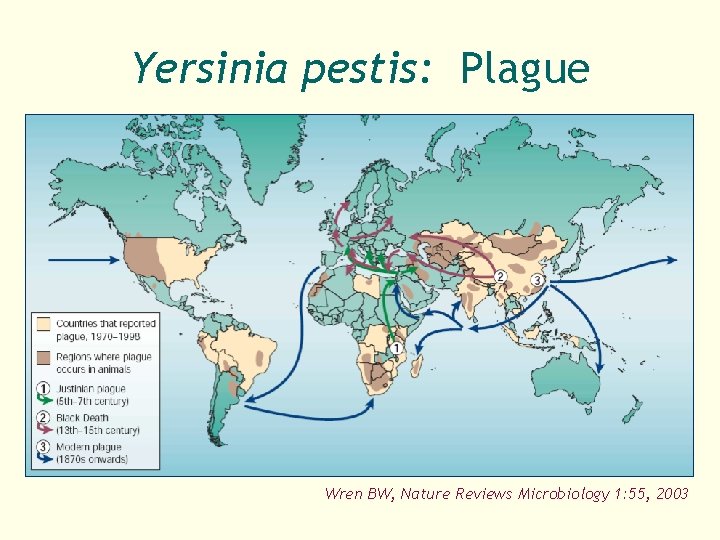 Yersinia pestis: Plague Wren BW, Nature Reviews Microbiology 1: 55, 2003 