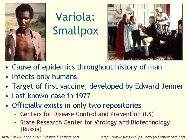 Variola: Smallpox • • • Cause of epidemics throughout history of man Infects only