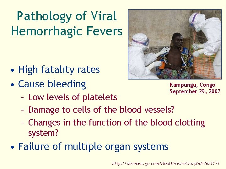Pathology of Viral Hemorrhagic Fevers • High fatality rates • Cause bleeding Kampungu, Congo