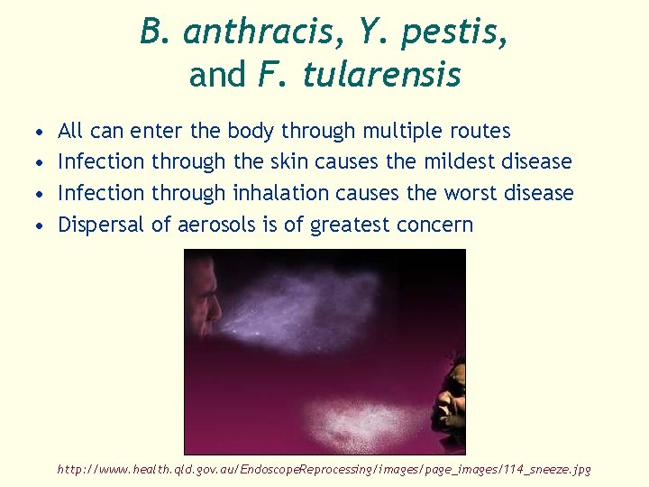 B. anthracis, Y. pestis, and F. tularensis • • All can enter the body