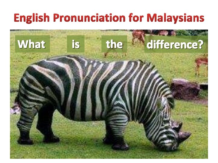 English Pronunciation for Malaysians What is the difference? 2 