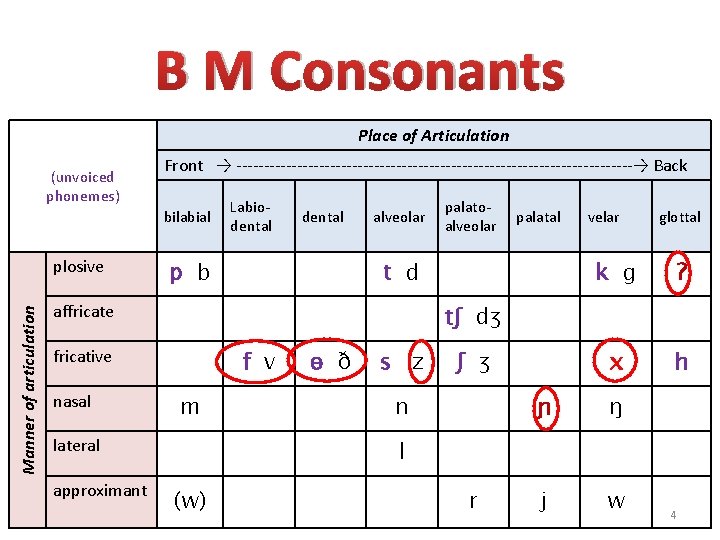B M Consonants Place of Articulation (unvoiced phonemes) Front → ------------------------------------→ Back bilabial Manner