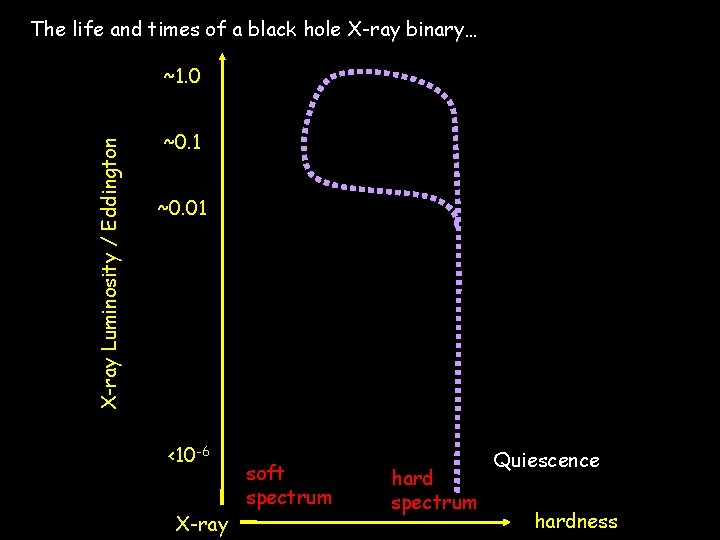 The life and times of a black hole X-ray binary… X-ray Luminosity / Eddington