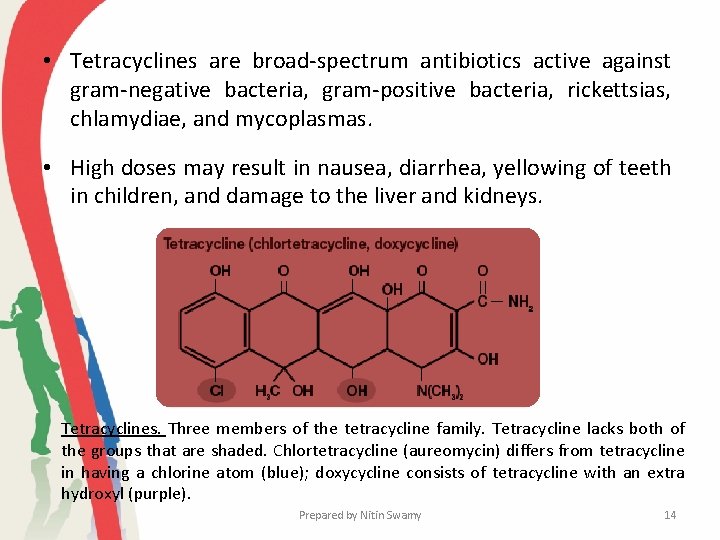  • Tetracyclines are broad-spectrum antibiotics active against gram-negative bacteria, gram-positive bacteria, rickettsias, chlamydiae,