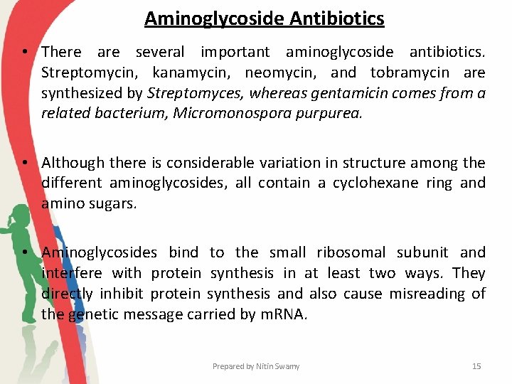 Aminoglycoside Antibiotics • There are several important aminoglycoside antibiotics. Streptomycin, kanamycin, neomycin, and tobramycin