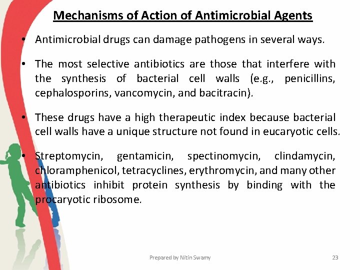 Mechanisms of Action of Antimicrobial Agents • Antimicrobial drugs can damage pathogens in several