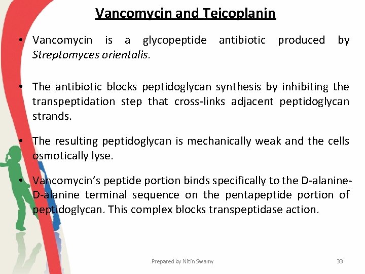 Vancomycin and Teicoplanin • Vancomycin is a glycopeptide antibiotic produced by Streptomyces orientalis. •