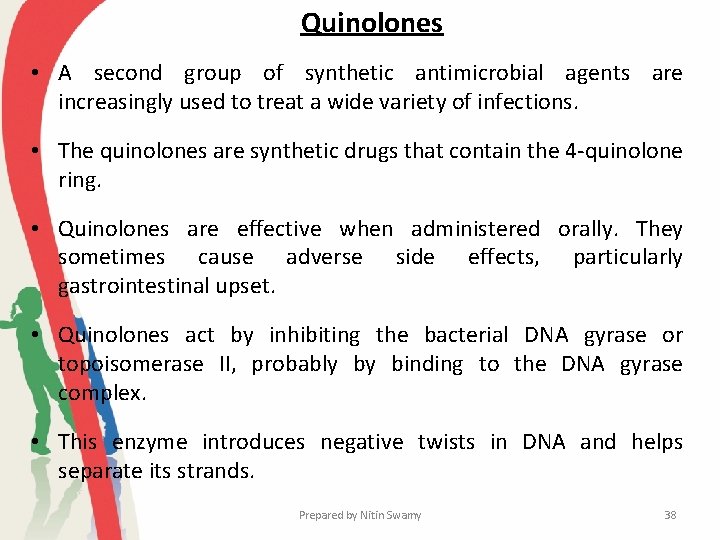 Quinolones • A second group of synthetic antimicrobial agents are increasingly used to treat