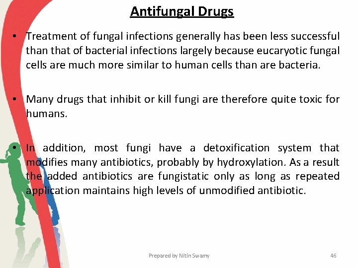 Antifungal Drugs • Treatment of fungal infections generally has been less successful than that