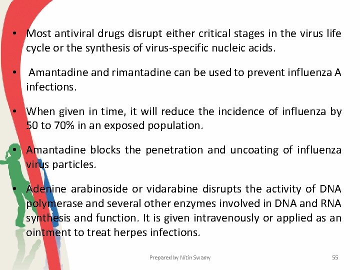  • Most antiviral drugs disrupt either critical stages in the virus life cycle