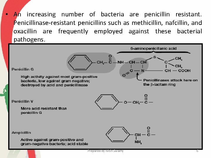  • An increasing number of bacteria are penicillin resistant. Penicillinase-resistant penicillins such as