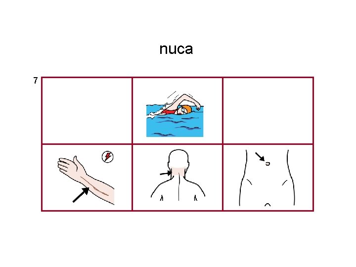nuca 7 