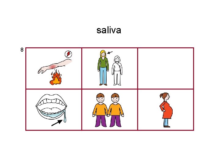 saliva 8 
