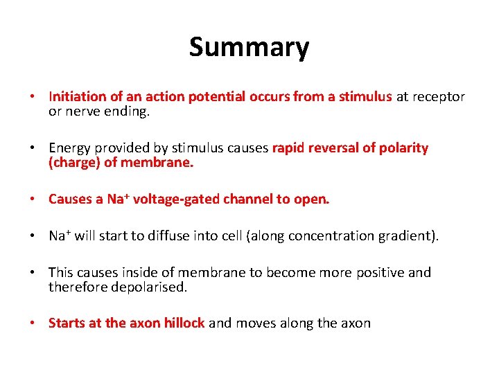 Summary • Initiation of an action potential occurs from a stimulus at receptor or