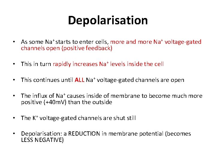 Depolarisation • As some Na+ starts to enter cells, more and more Na+ voltage-gated