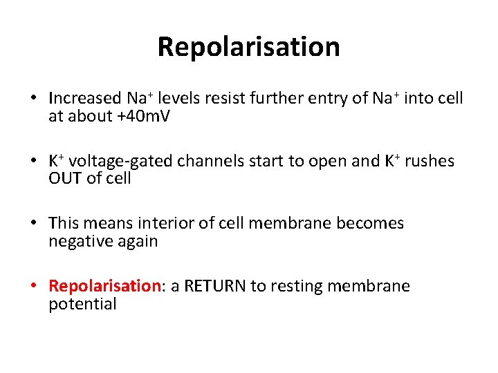Repolarisation • Increased Na+ levels resist further entry of Na+ into cell at about