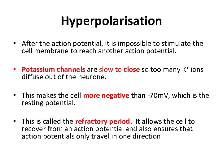 Hyperpolarisation • After the action potential, it is impossible to stimulate the cell membrane