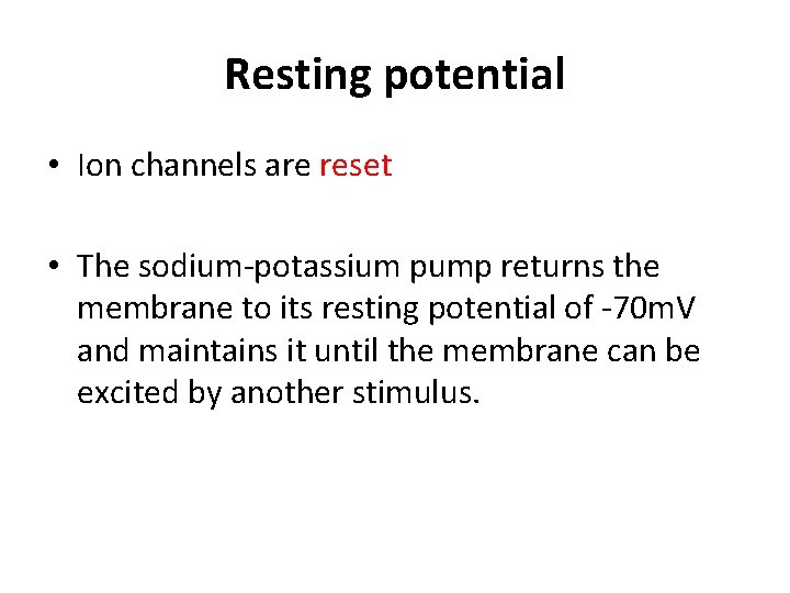 Resting potential • Ion channels are reset • The sodium-potassium pump returns the membrane