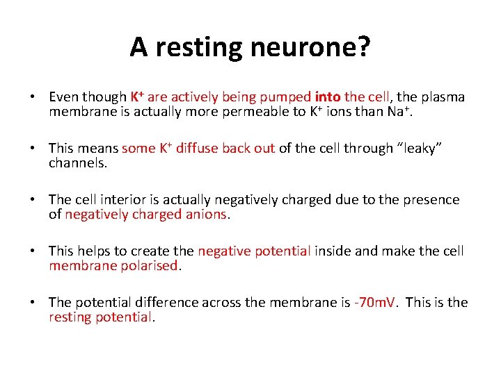 A resting neurone? • Even though K+ are actively being pumped into the cell,